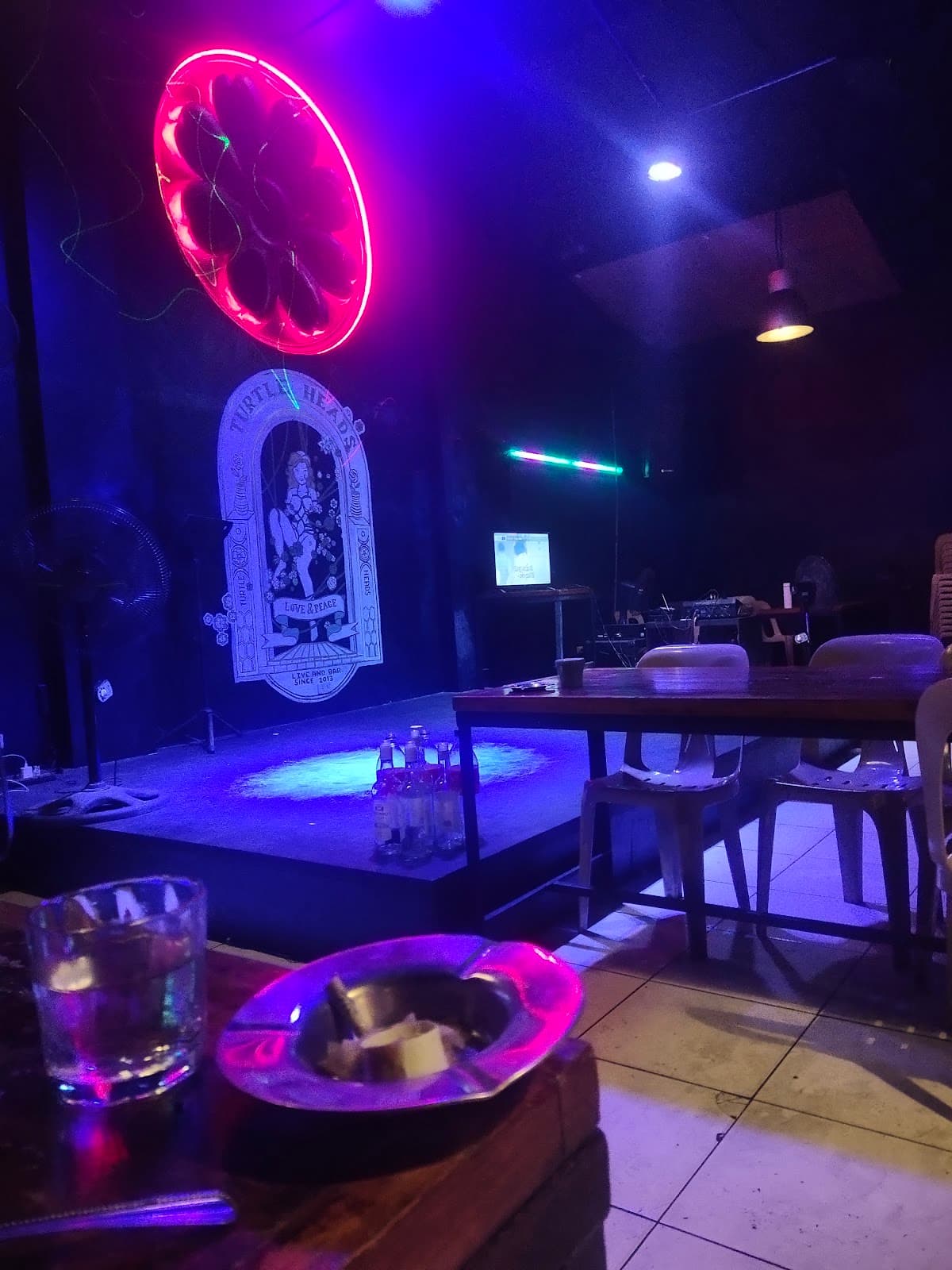 Turtle Heads